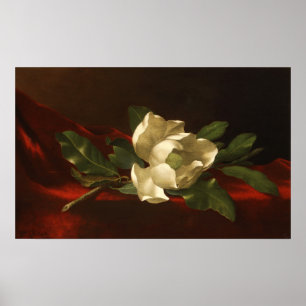 Heade - Magnolia Poster