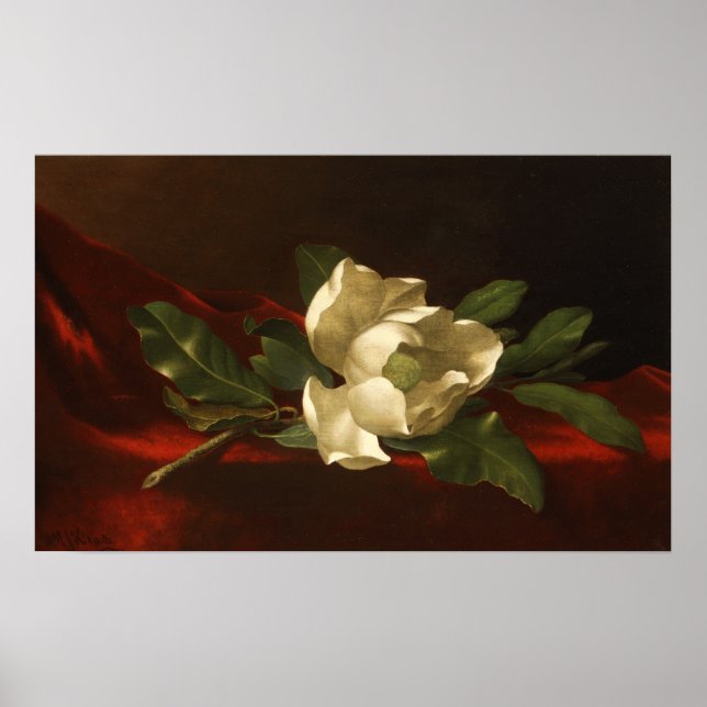 Heade - Magnolia Poster (Vorne)