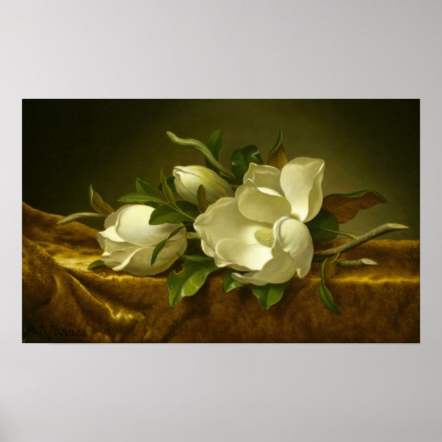 Heade - Magnolias auf goldenem Samttuch Poster (Vorne)