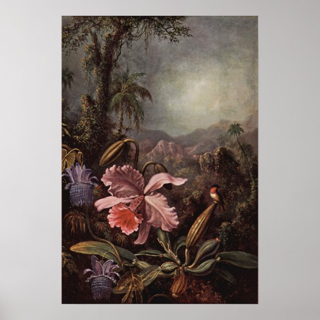 Heade - Orchid and Hummingbird 1880 Poster (Vorne)