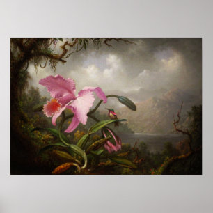 Heade - Orchid und Hummingbird Poster