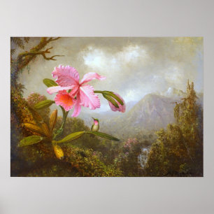Heade - Orchidee und Kolibri in der Nähe eines Was Poster