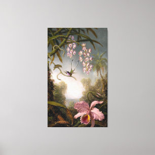 HEADE - Orchideen und Spray Orchideen mit Humminvö Leinwanddruck