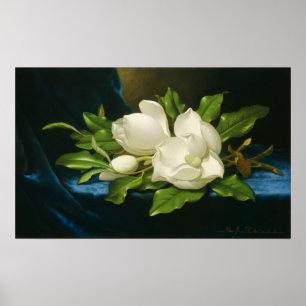 Heade - Riesenmagnolias auf einem blauen Samttuch Poster
