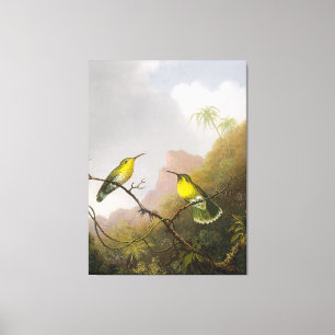 HEADE Two Humming Birds Copper-tails Amazili - Leinwanddruck