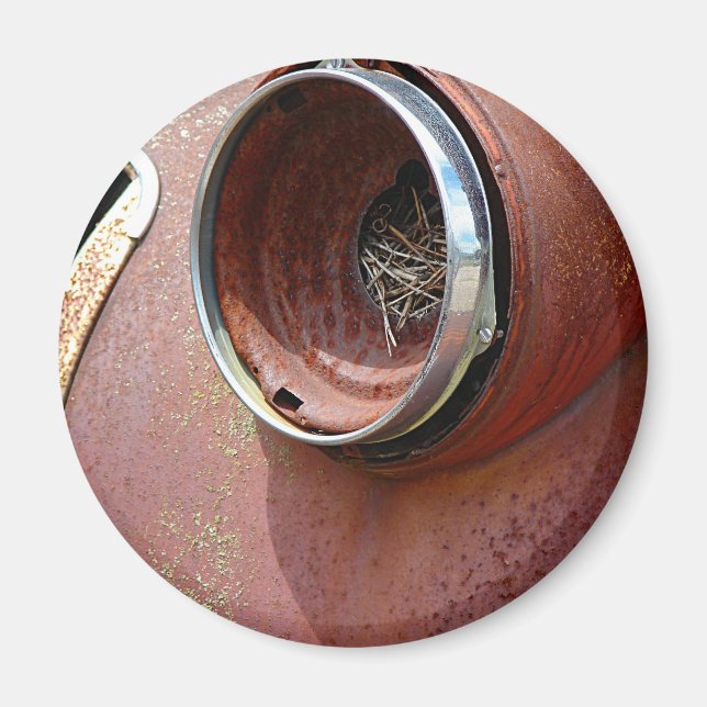 Headlight Nest Magnet (Vorne)