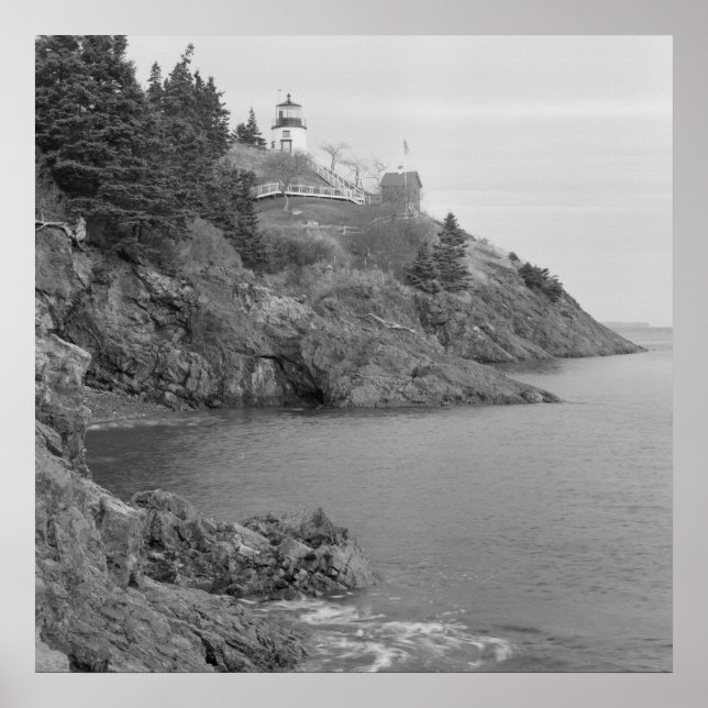 Headlight-Station der Eule Poster (Vorne)