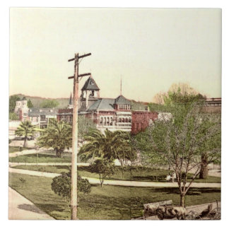 Healdsburg, Kalifornien, Keramik Tile Fliese