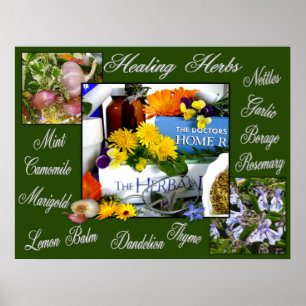 HEALHERBS ~ Poster