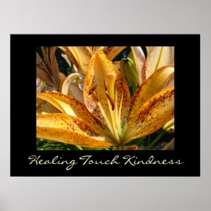 Healing Touch Kindness Kunstdrucke Orange Lily Poster