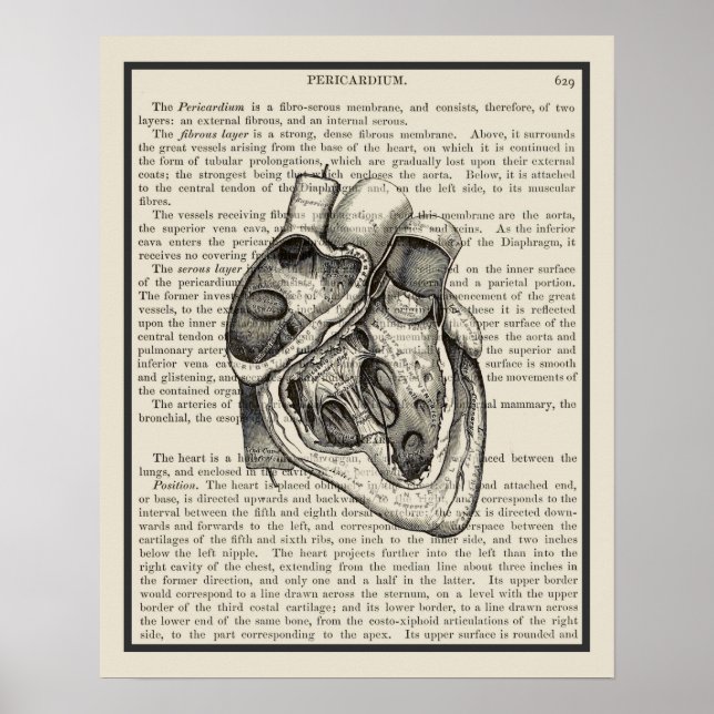 Heart Anatomie Buchkunst Print #2 Poster (Vorne)