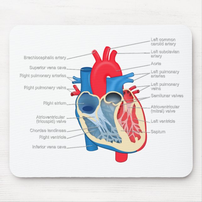 Heart_Anatomy Mousepad (Vorne)