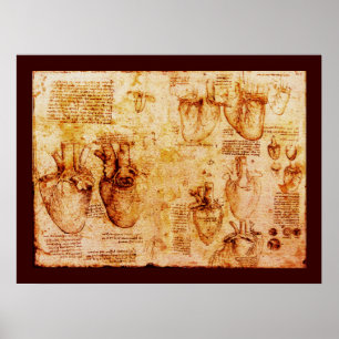 Heart And Its Blood Vessels , Brown Canvas Poster