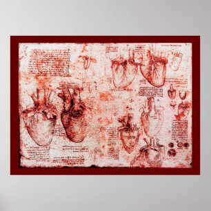 Heart And Its Blood Vessels , Red Canvas Poster