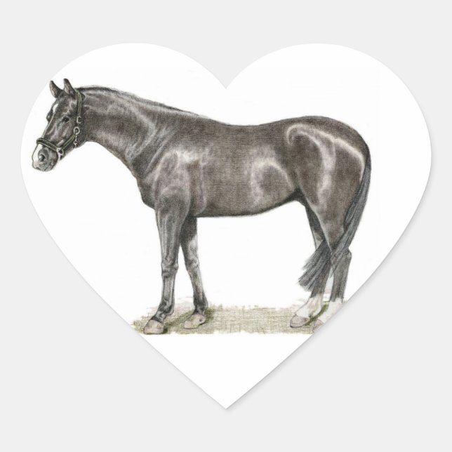 Heart-Aufkleber Herz-Aufkleber (Vorderseite)