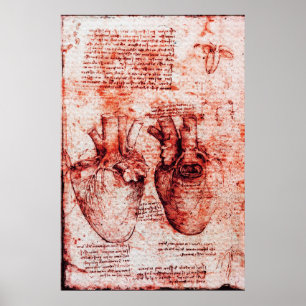 Heart,Its Blood Vessels,Leonardo Da Vinci Red Poster