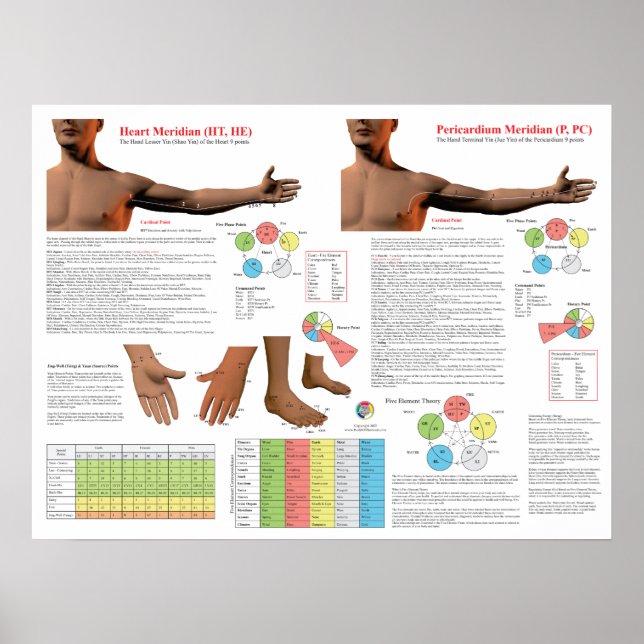 Heart Meridian Acupuncture Points Poster (Vorne)