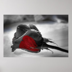 Heart of the Matter, Red Rose Heart Poster
