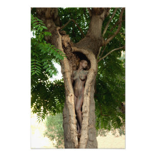 Heart of the Tree by Johannes Stötter Fotodruck