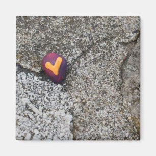 Heart Rock und Fossil Rock Magnet