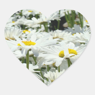 Heart Shape Sticker Summer Daisy Blume Siegel