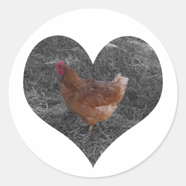 Heart Shaped Chicken Stickers (Vorderseite)