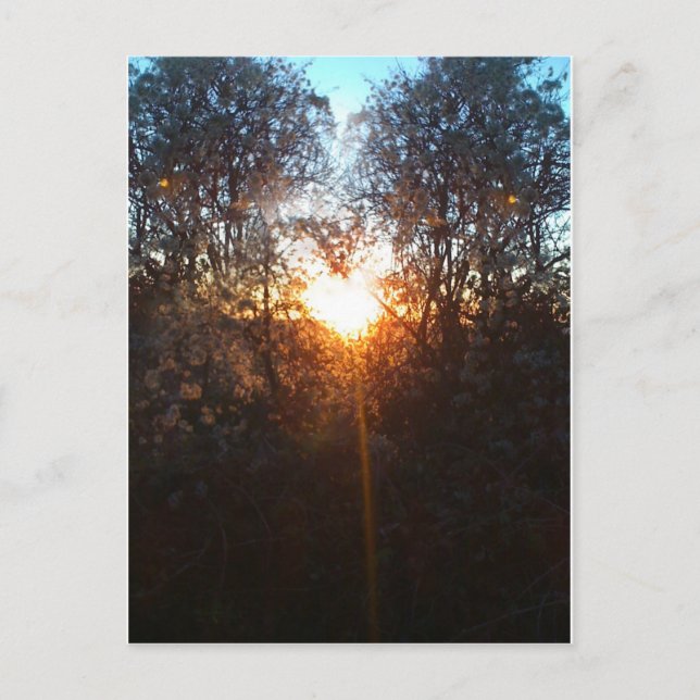 heartbeamdec2010 postkarte (Vorderseite)