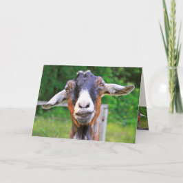Heartfelt Funny Goat Birthday Karte