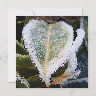 Heartförmiges Blatt mit Eis Einladung