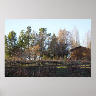 Hearthstone Weingarten in Paso Robles, CA Poster