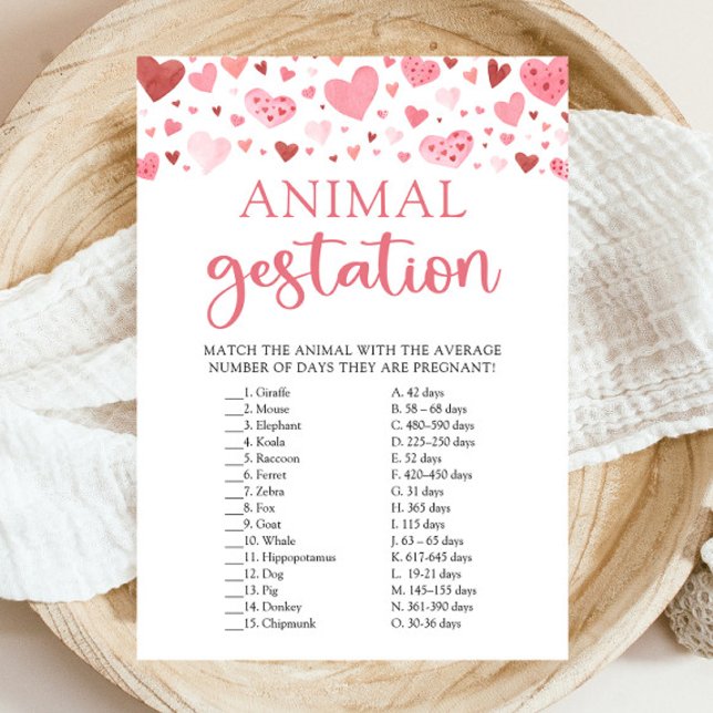 Hearts Valentine Baby Shower Animal Gestation Game Einladung (Watercolor Cute Pink Red Hearts Valentine A Little Sweetheart Girl Animal Gestation Baby Shower Game)