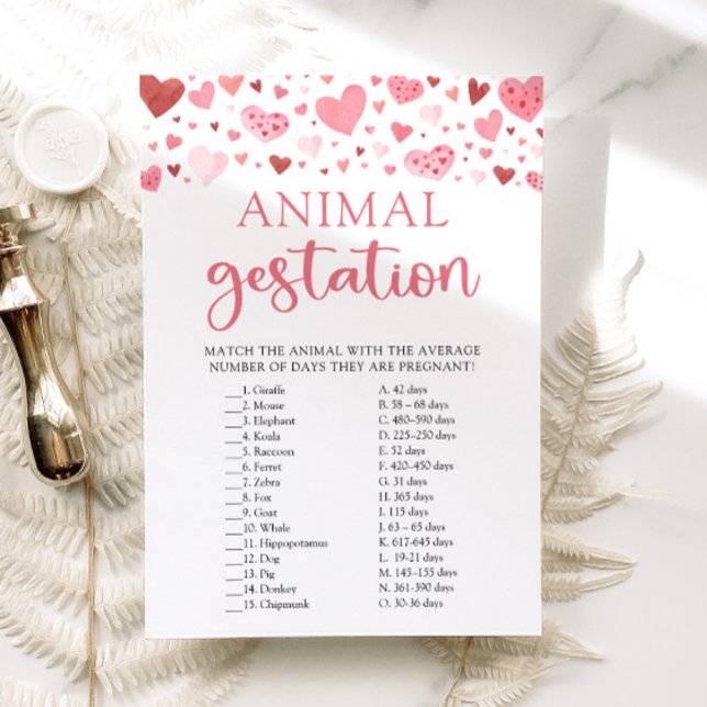 Hearts Valentine Baby Shower Animal Gestation Game Einladung (Watercolor Cute Pink Red Hearts Valentine A Little Sweetheart Girl Animal Gestation Baby Shower Game)