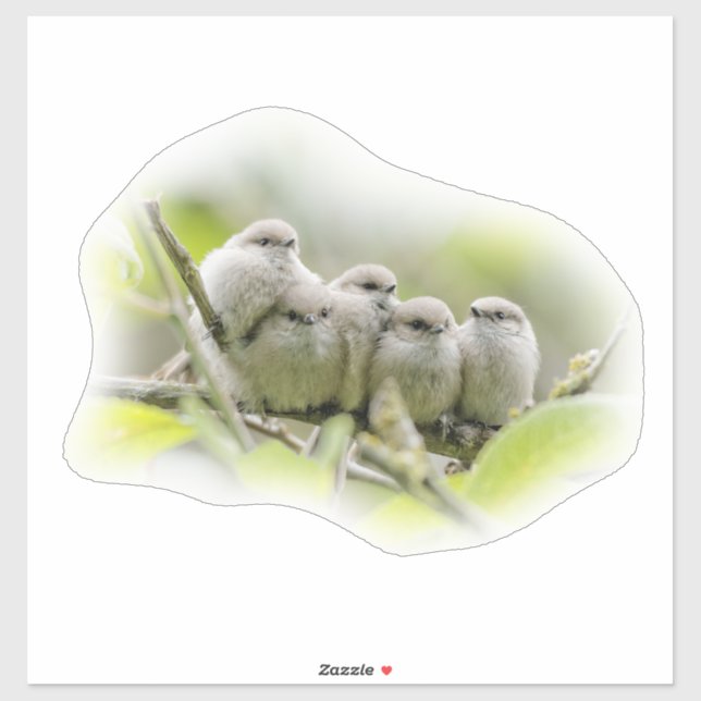 Heartwärming Niedlich Bushtits Songbirds Family Fo Aufkleber (Blatt)