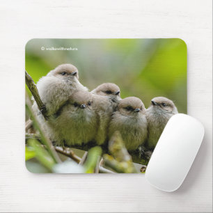 Heartwärming Niedlich Bushtits Songbirds Family Fo Mousepad