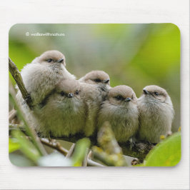 Heartwärming Niedlich Bushtits Songbirds Family Fo Mousepad
