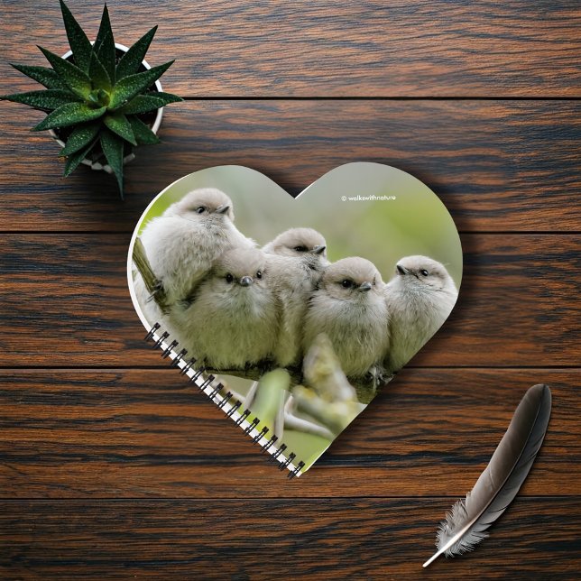 Heartwärming Niedlich Bushtits Songbirds Family Fo Notizbuch (Heartwarming Young Bushtits in the Plum Tree Journal Cover Photo)