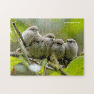 Heartwärming Niedlich Bushtits Songbirds Family Fo Puzzle