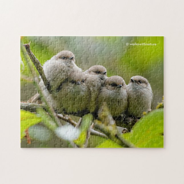 Heartwärming Niedlich Bushtits Songbirds Family Fo Puzzle (Horizontal)