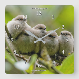 Heartwärming Niedlich Bushtits Songbirds Family Fo Quadratische Wanduhr