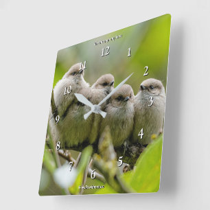 Heartwärming Niedlich Bushtits Songbirds Family Fo Quadratische Wanduhr