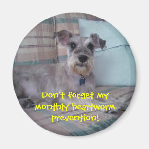 Heartworm Erinnerungs-Magnet Magnet