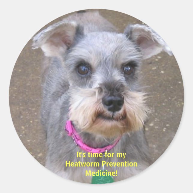 Heartworm Medicine Erinnerung Stickers (Vorderseite)