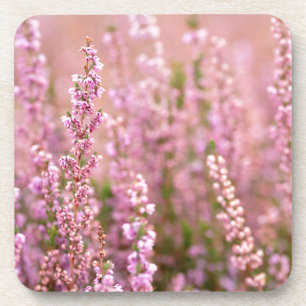 Heather in Horsham, Sussex, England Getränkeuntersetzer