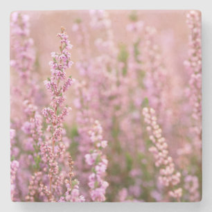 Heather in Horsham, Sussex, England Steinuntersetzer