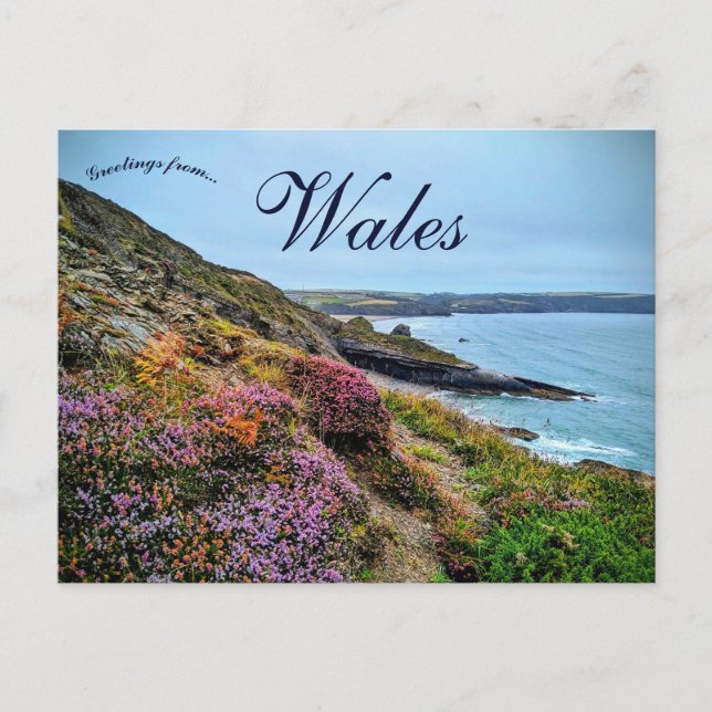 Heather in  Pembrokeshire Wales Postkarte (Vorderseite)