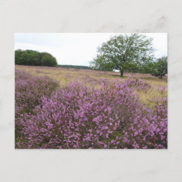 Heather Landscape DIY Postcard Postkarte