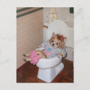 Heather-Lnns Retro-Chihuahua-Triumph auf dem Töpfc Postkarte