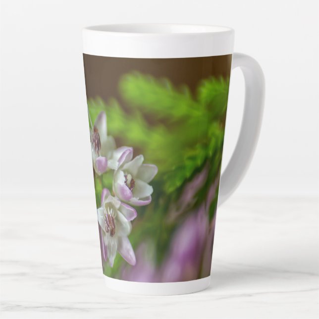 Heather Spring Blume immergrün blühen lila weiß Milchtasse (Rechte Ecke)