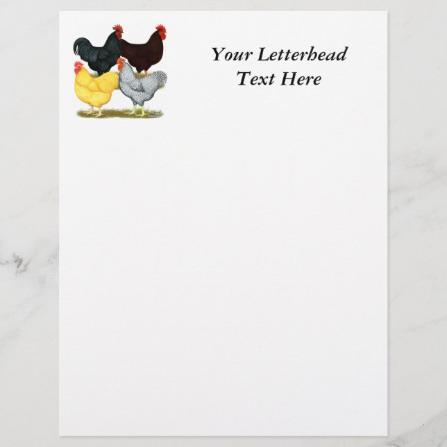 Heavy Rooster Chicken Quartett (Vorderseite)
