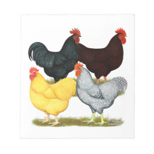 Heavy Rooster Chicken Quartett Notizblock